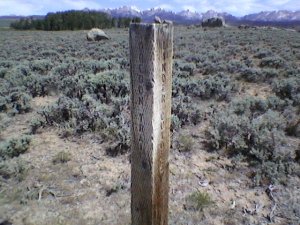 Oregon Trail post